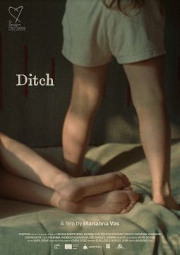 Ditch